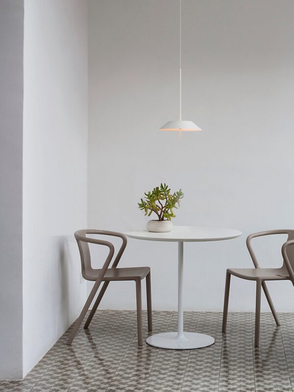 Pino - Image 3